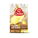 O'Cedar Plumo' de Soin Kit Manche + 2 Recharges Cire