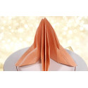 AIRLAID Serviettes DE Table en Papier JETABLES Paquet DE 50 Serviettes - Motifs Orange - IUTA Terracotta - 40 x 40 CM (4)
