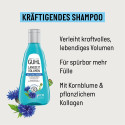 Guhl Shampooing à long terme volume - Contenu: 250 ml - Volume et abondance pour cheveux fins