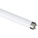 tube fluorescent master tl-d eco t8 16 watts cc 840 g13 4000k