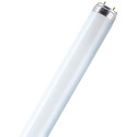 Tube fluorescent Master TL-D Super80 G13 36W Osram 865, 120 cm T8-Ampoule