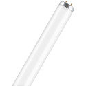 Osram L 20 W/640 SA Tube Fluorescent 25 x 1