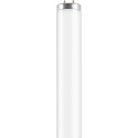 Osram L 20 W/640 SA Tube Fluorescent 25 x 1