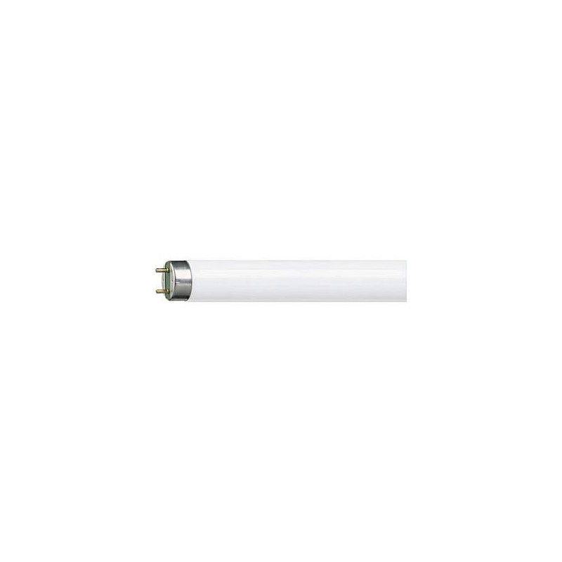 Lot de 25 ampoules fluorescentes Neon Master TL-D Super 80 Culot G13 1SL/25 (58 W/840 (blanc neutre) 5240 lm - 4000 K)