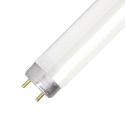 Crompton Lamps Fluorescent 6ft T8 Tube 70W Triphosphor blanc Froid F70W/840