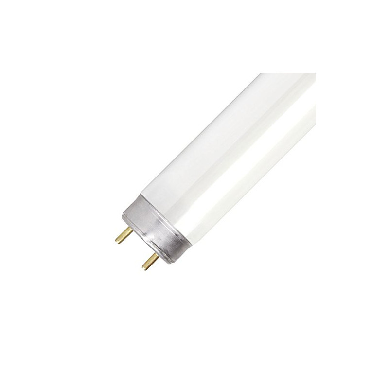 Crompton Lamps Fluorescent 6ft T8 Tube 70W Triphosphor blanc Froid F70W/840