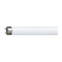 Lampe fluorescente TL-D 36-1 W 840 1 m - PHILIPS