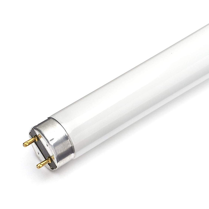 10 x Osram 58 W - 5 tubes Fluorescent T8 152,4 m) - Couleur 840 - Blanc Froid