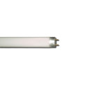 Dura Tube fluorescent linéaire T8 15 W 865 6500 K