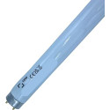 DSTOCK60 - Ampoule tube fluorescent - Néon - T8 18W G13 - Blanc froid 6500K - 18W - 1350lm - Longueur : 60.4cm, diamètre : 2,8cm