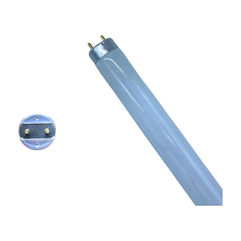 DSTOCK60 - Ampoule tube fluorescent - Néon - T8 18W G13 - Blanc froid 6500K - 18W - 1350lm - Longueur : 60.4cm, diamètre : 2,8cm