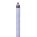 Eveready Tube fluorescent T5 - Pearl - 8 W 840 capuchon G5