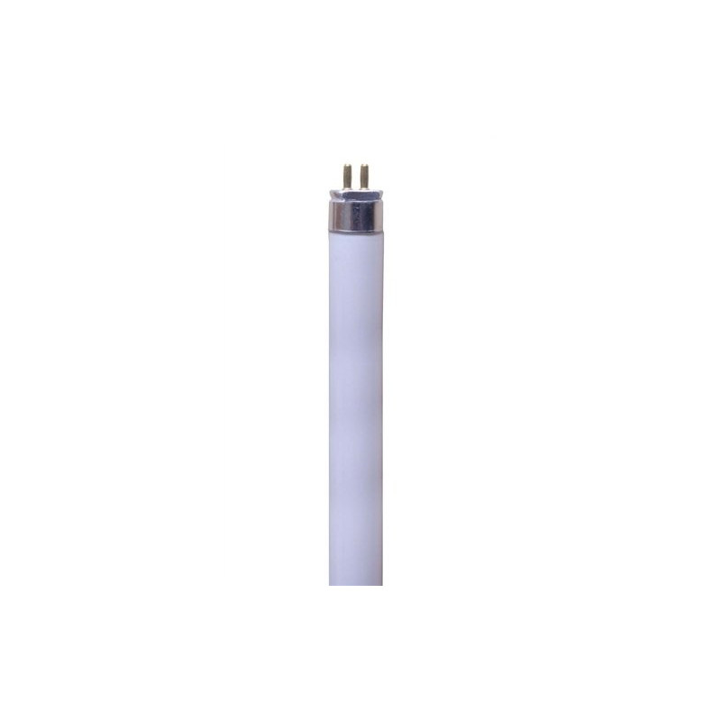 Eveready Tube fluorescent T5 - Pearl - 8 W 840 capuchon G5