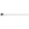 Lampe néon fluorescent tube philips tld 14 W 33/640