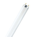 Osram - Tube fluorescent L 58 W/830 blanc chaud