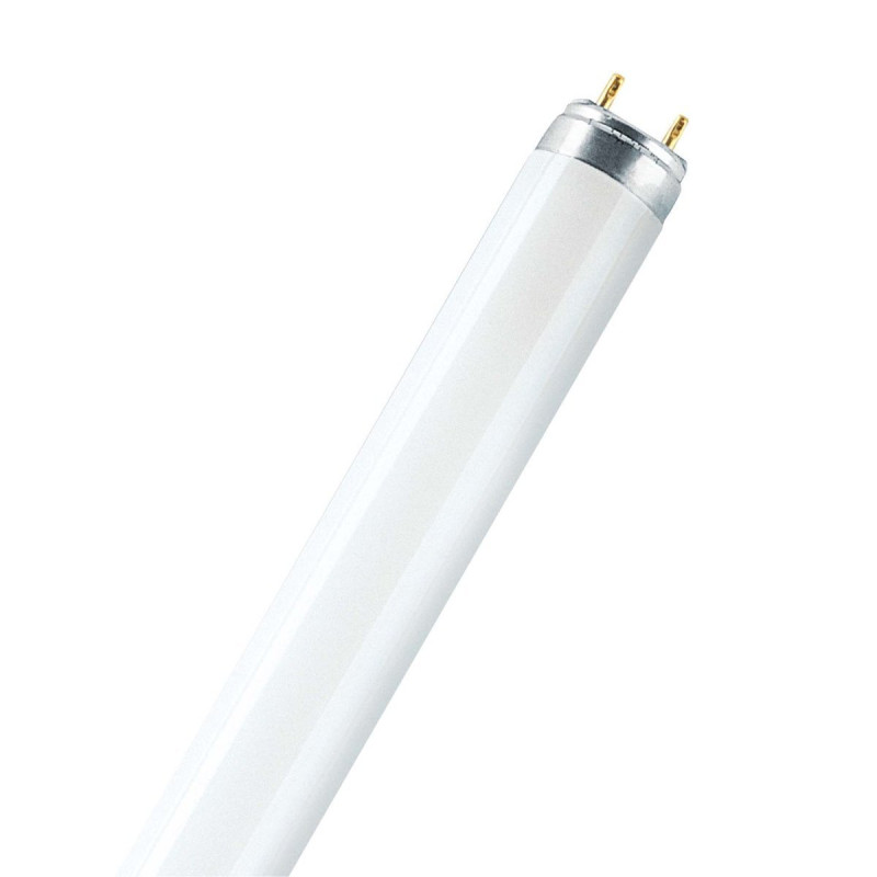 Osram - Tube fluorescent L 58 W/830 blanc chaud