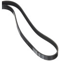 DAYCO 6PK1975 Courroie Accessoire