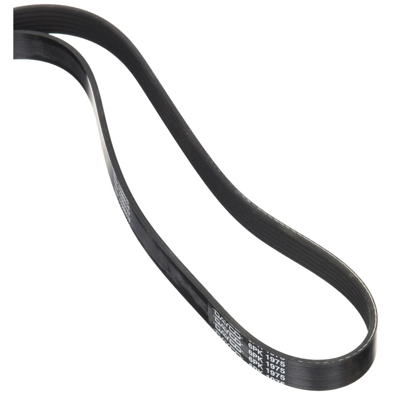 DAYCO 6PK1975 Courroie Accessoire