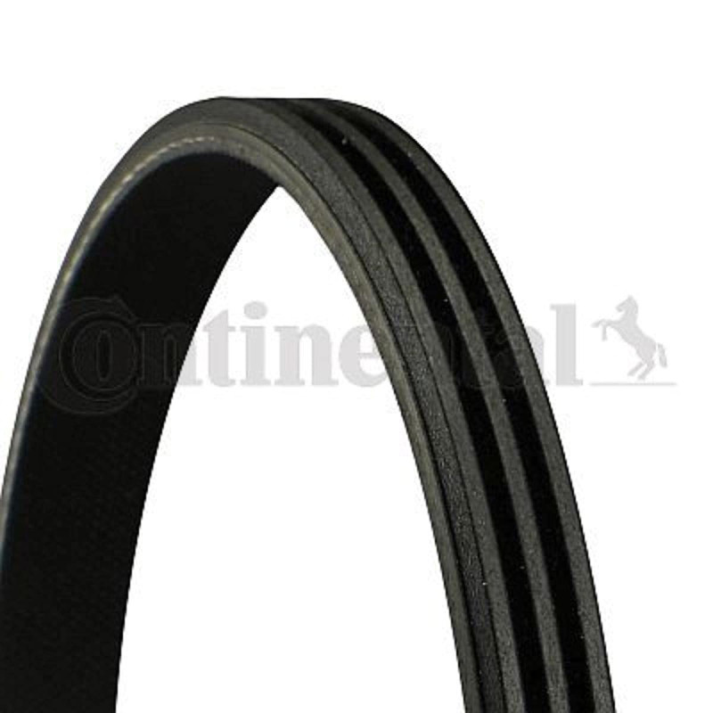 Continental Contitech 3PK690 Courroie trapézoïdale à nervures
