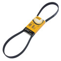 Continental Contitech 6PK1120 Courroie trapézoïdale à nervures