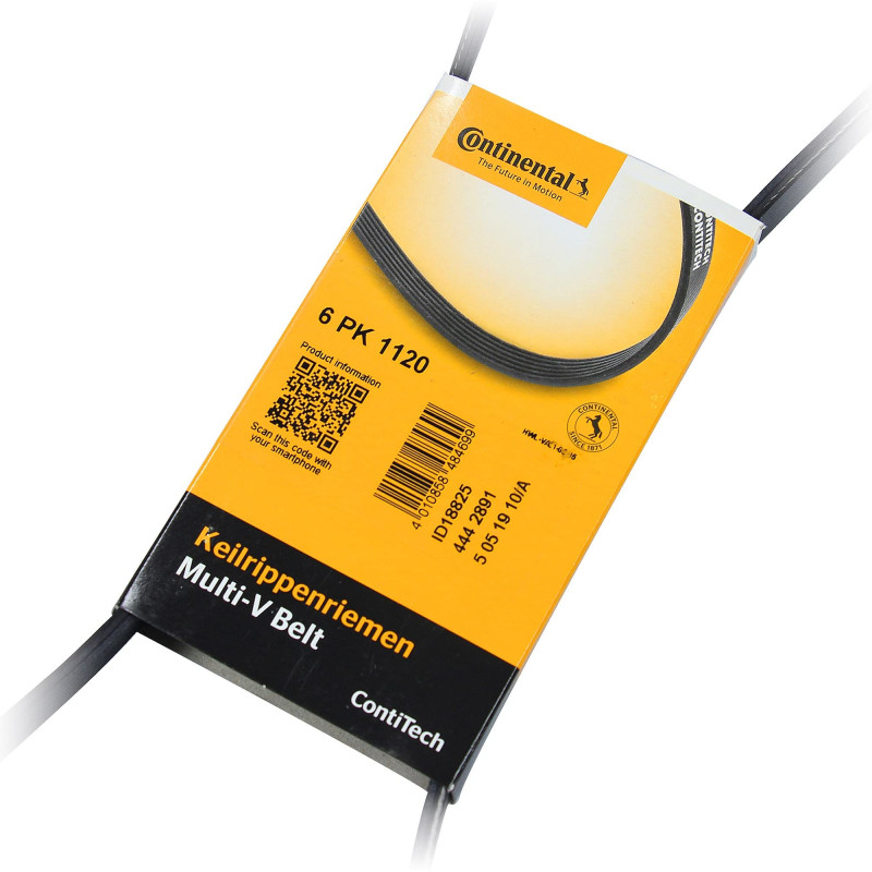 Continental Contitech 6PK1120 Courroie trapézoïdale à nervures