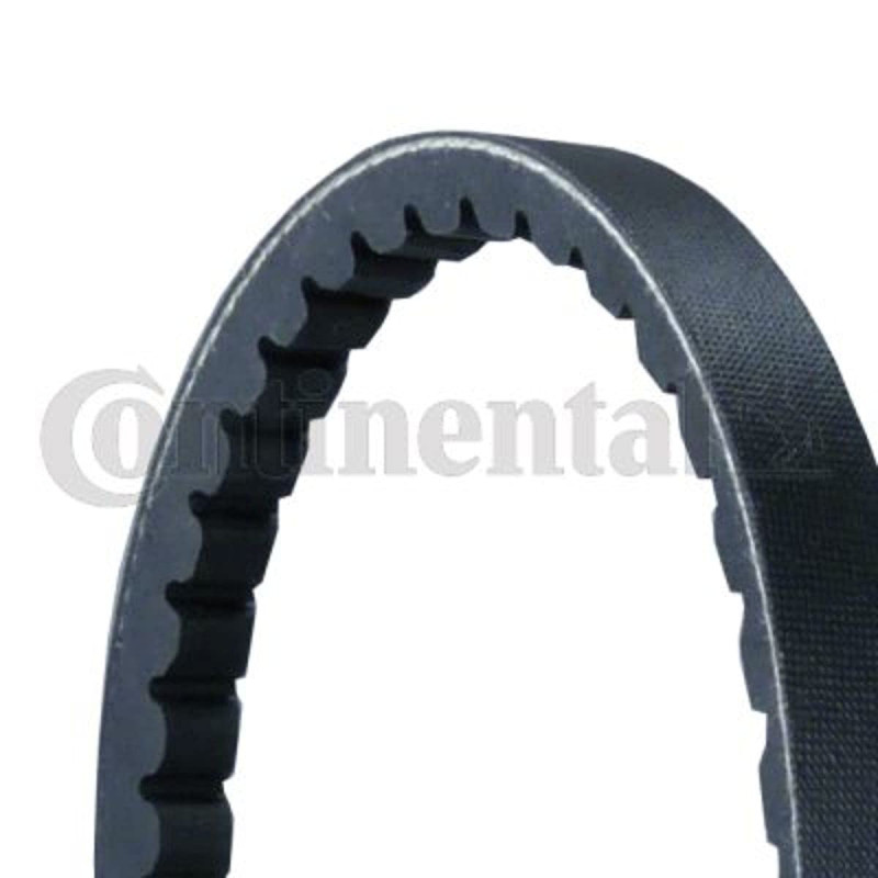 Continental Contitech AVX13X1275 Courroie trapézoïdale