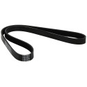 DAYCO 5PK1025 Courroie Accessoire