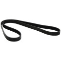 DAYCO 5PK1250 Courroie Accessoire
