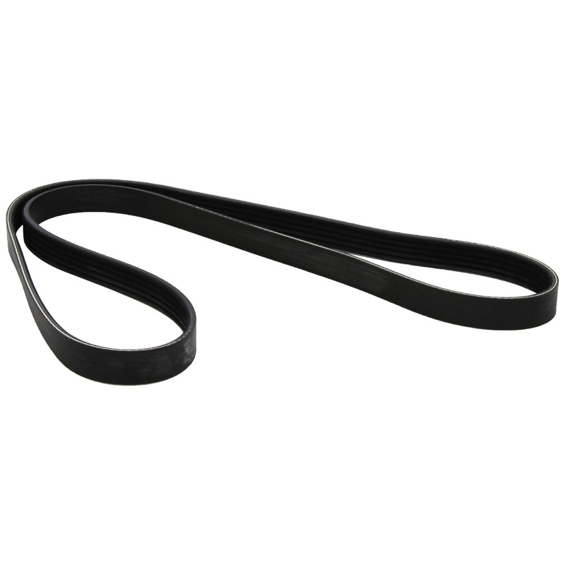 DAYCO 5PK1250 Courroie Accessoire