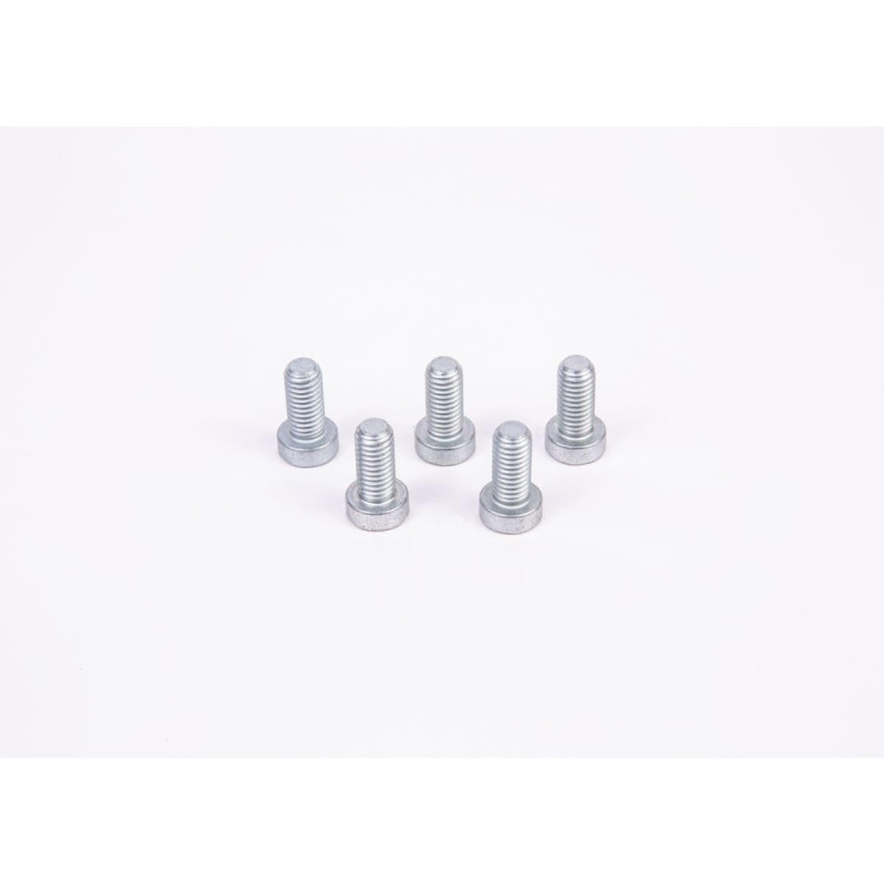 Bosch - Vis F01 m100684