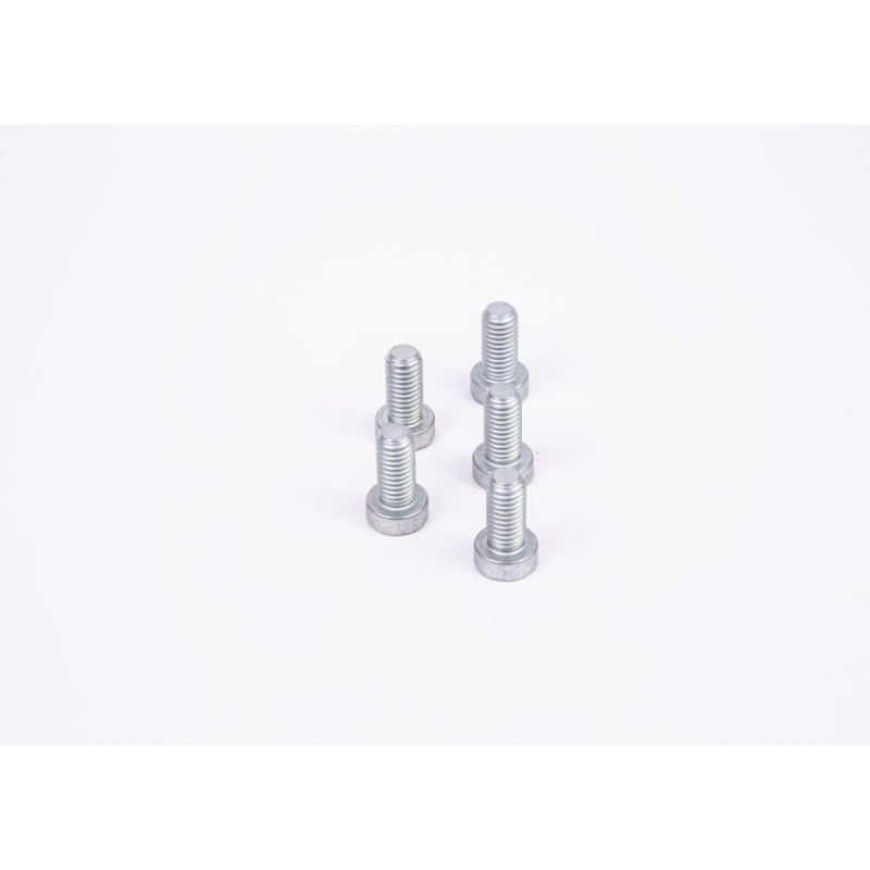 Bosch - Vis F01 m100684