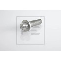 PE Automotive 296.002-00A Vis, disque de frein