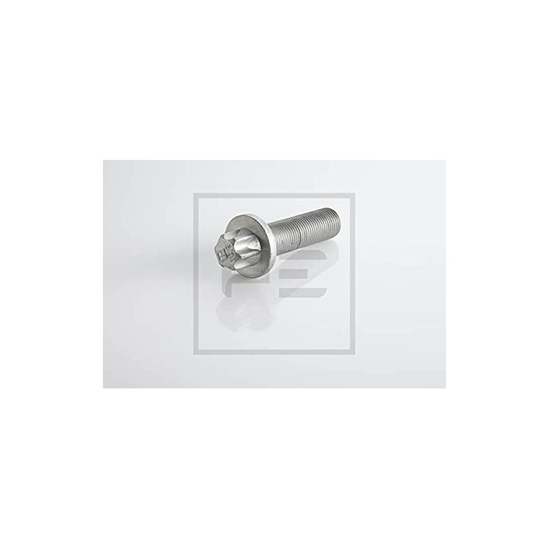 PE Automotive 296.002-00A Vis, disque de frein