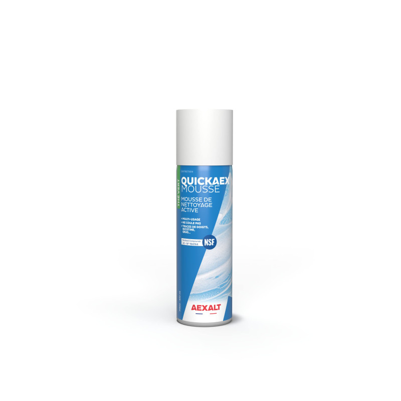 Mousse de Nettoyage Active Multi-Surfaces, Thé Vert, 650 ml