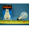 SEL 4-100 Watt Pearl (Givré) Ampoule GLS avec culot à baïonnette (B22)
