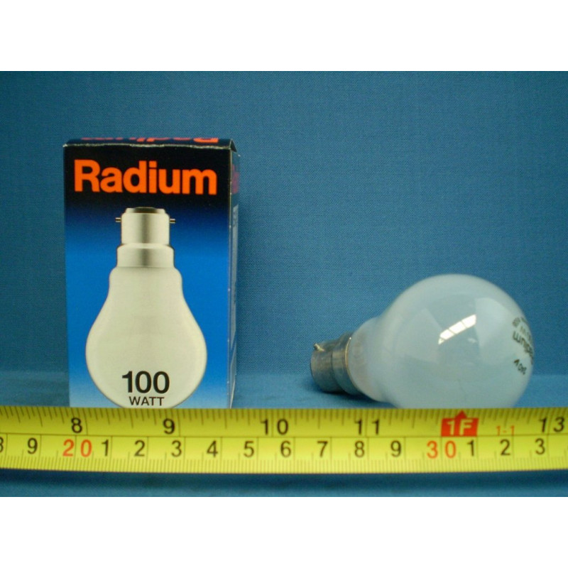 SEL 4-100 Watt Pearl (Givré) Ampoule GLS avec culot à baïonnette (B22)
