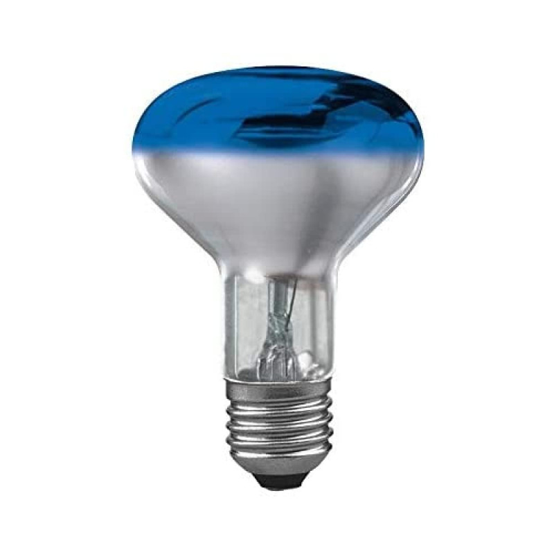 Paulmann 25064 Réflecteur R80 60W, E27, 115mm 80mm Bleu