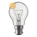Ampoule B22 A55 40w 230 Volts x2