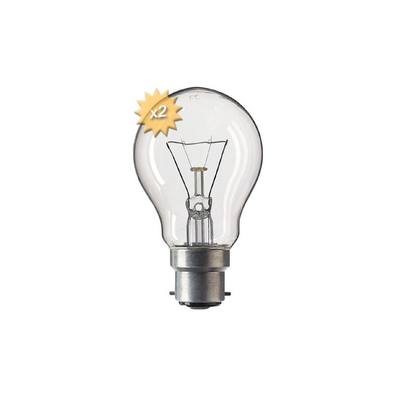 Ampoule B22 A55 40w 230 Volts x2