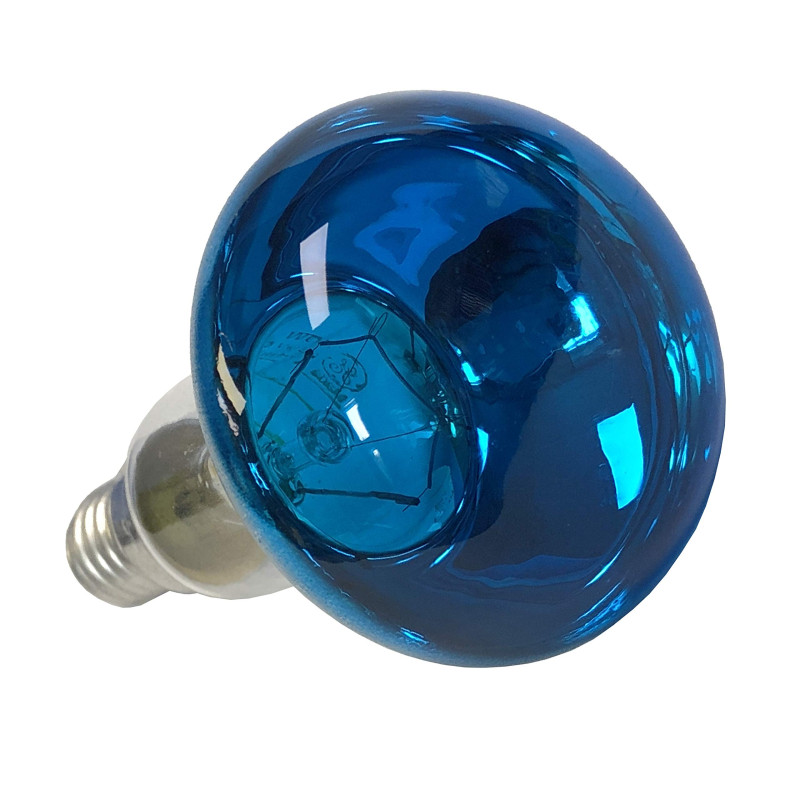 ampoule de réflecteur R50 bleu 40W à petit culot E14
