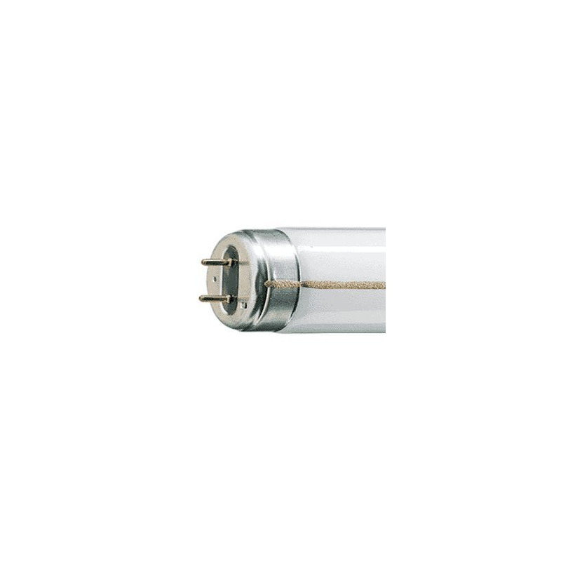 Philips G13 TLM 65w /54 Lumière du Jour RS Philips