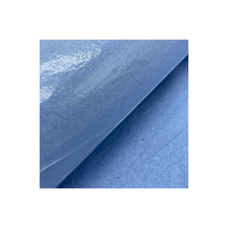 DSTOCK60 - Lot de 24 rouleaux de 1/2 draps d'examens bleus plastifiés imperméables - 25 x 35-135 formats - qualitié médicale…