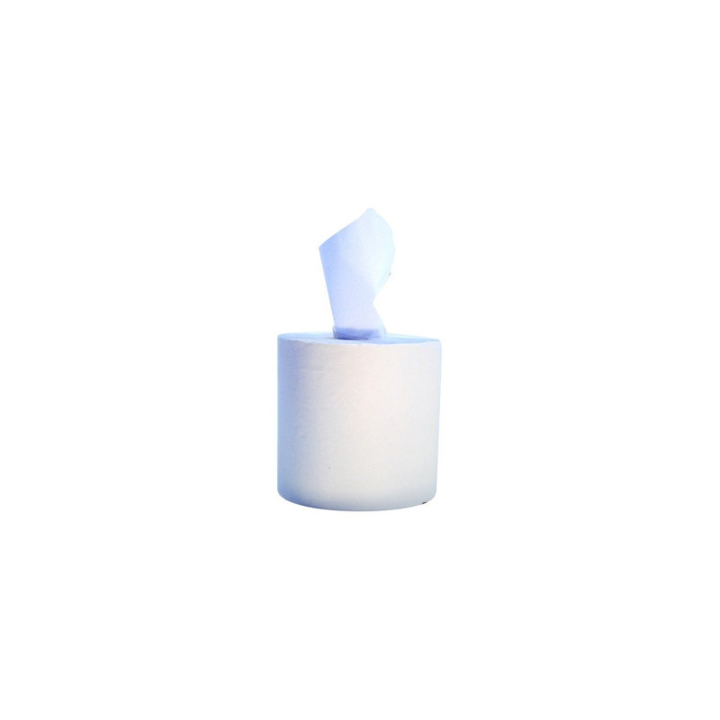 Carton de 6 bobines d' essuie tout blanc 450 feuilles