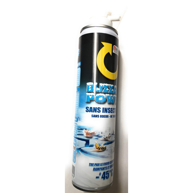 BLIZZARD POWER INSECTICIDE PAR LE FROID Sans produit chimique. -45 degrés. 300 ml