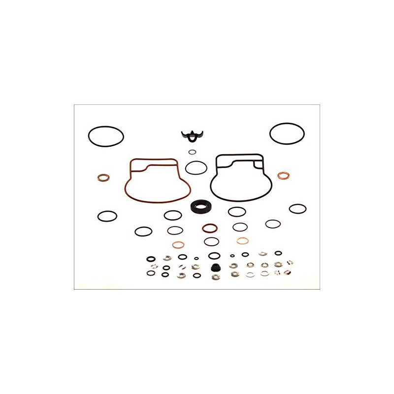 Kit de réparation, pompe à injection, pompe de distribution DELPHI 9109-760