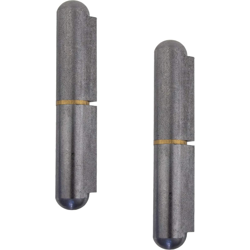 Gedotec Charnière de Porte à Souder | Hauteur: 120 mm | 2 Pièces - Paumelles pour portes & machines | Paumelles à souder en méta