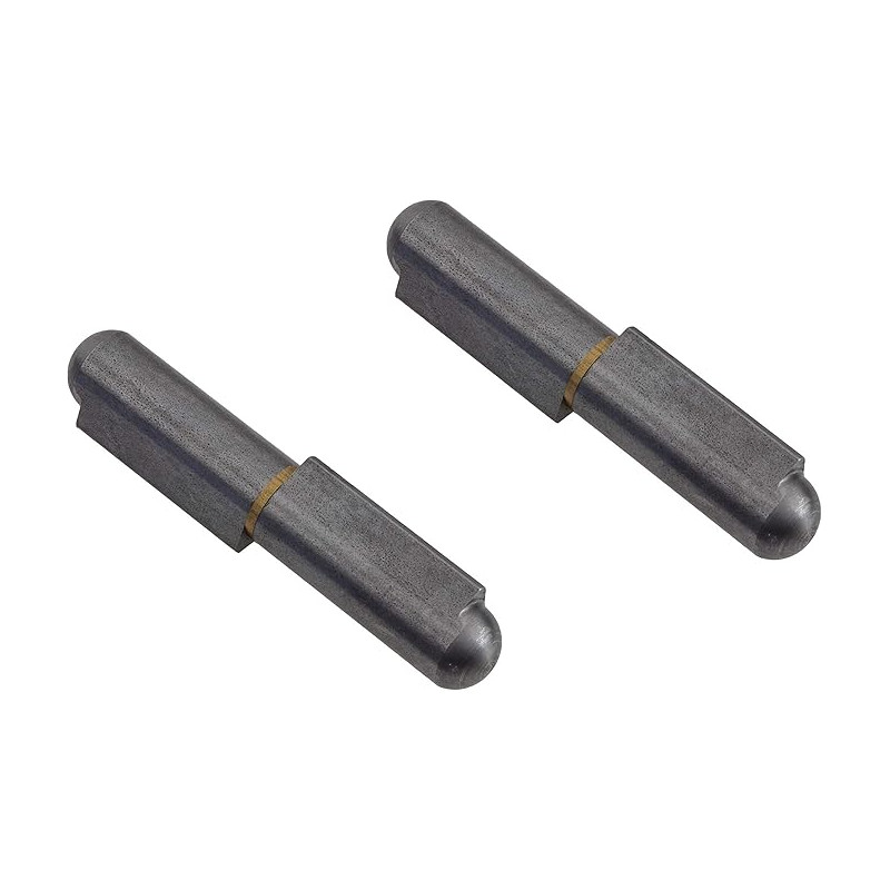Gedotec Charnière de Porte à Souder | Hauteur: 120 mm | 2 Pièces - Paumelles pour portes & machines | Paumelles à souder en méta