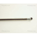 Triscan 8710 50223 Vérin de hayon, de coffre