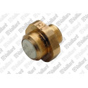 Injecteur veilleuse Vaillant 040550