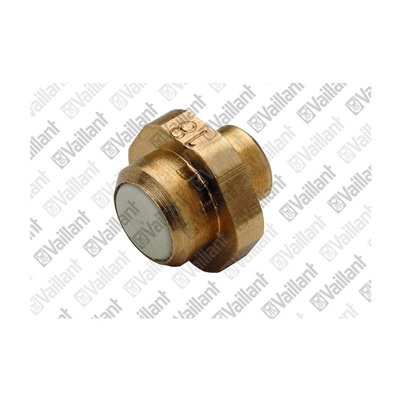 Injecteur veilleuse Vaillant 040550